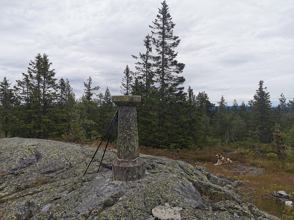 Vestfjellet