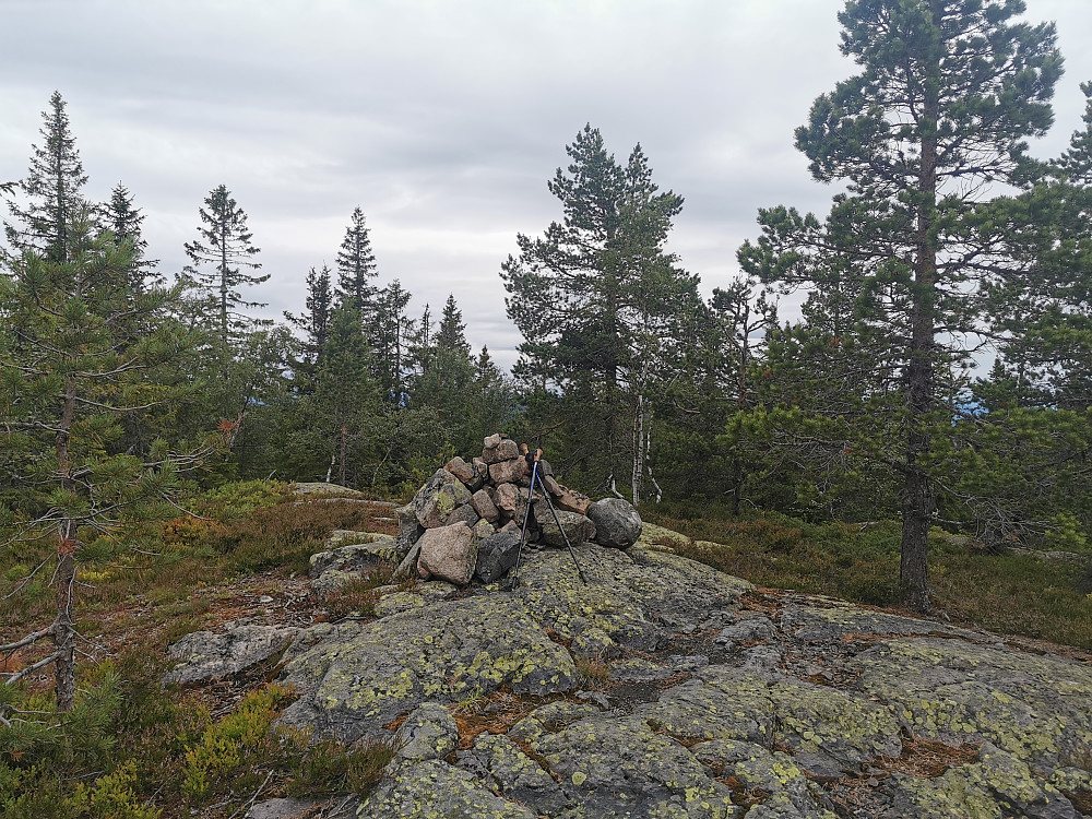 Skibergfjellet