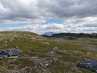 ovega_20220731_62e6c11272a80.jpeg