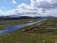 ovega_20220731_62e6c11aa23a7.jpeg