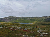 ovega_20220808_62f102072e0a1.jpeg