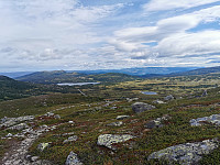 ovega_20220808_62f10208c0cc0.jpeg