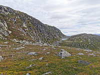 ovega_20220808_62f1020e78ef6.jpeg