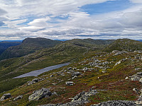 ovega_20220808_62f10211a9eb3.jpeg