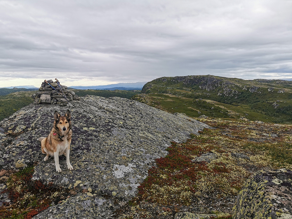 Skriunatten SørVest