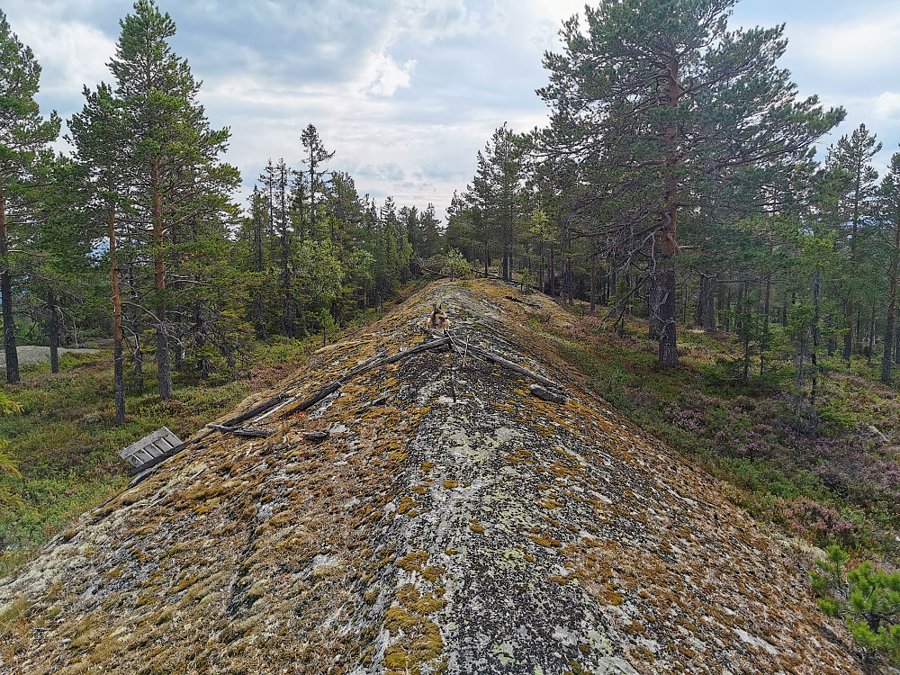 Ulaåsen
