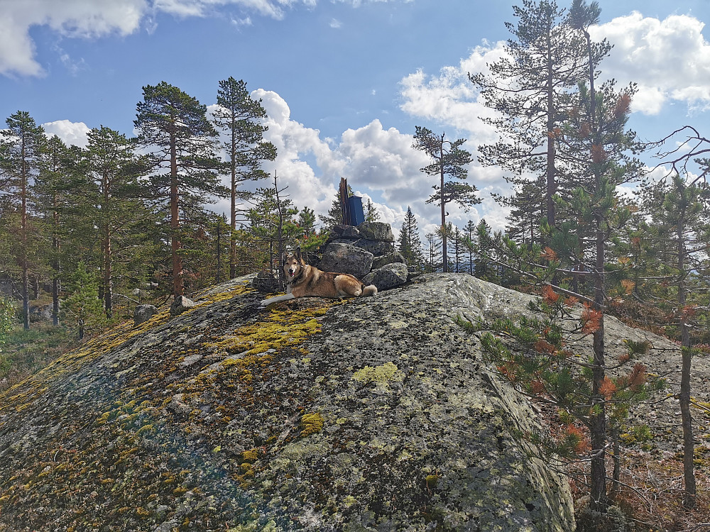 Hiåsvarden