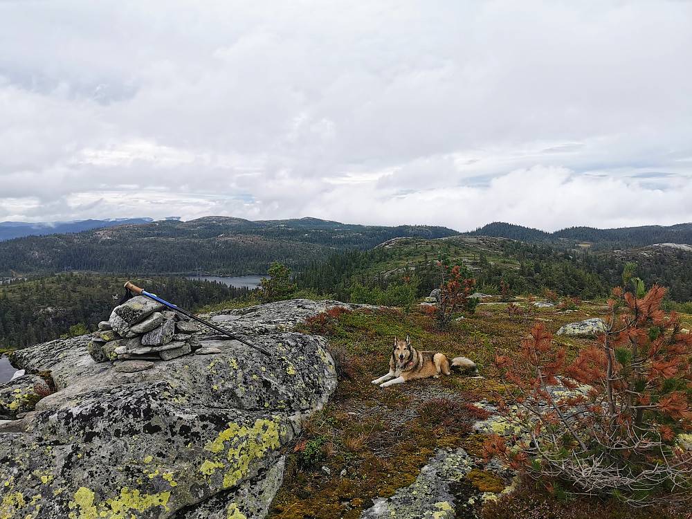 Den Runde Kollen