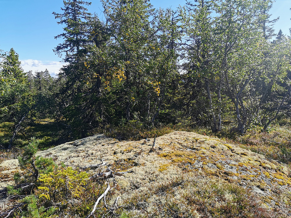 Nysethøgde Vest