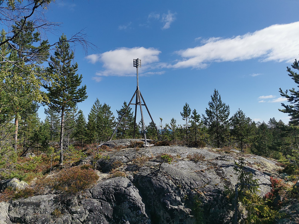 Trig punktet