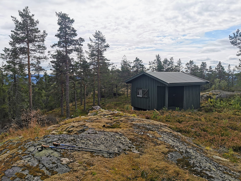 Bukketjennkollen