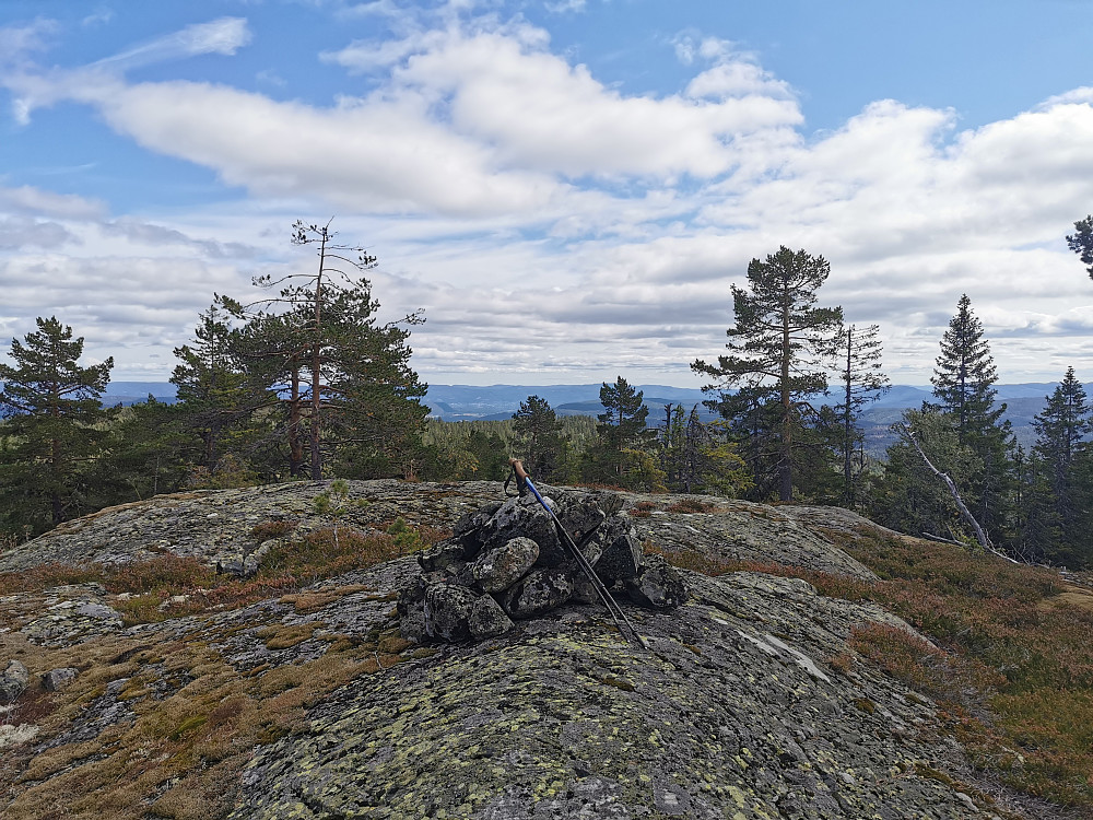 Lårbuåsen