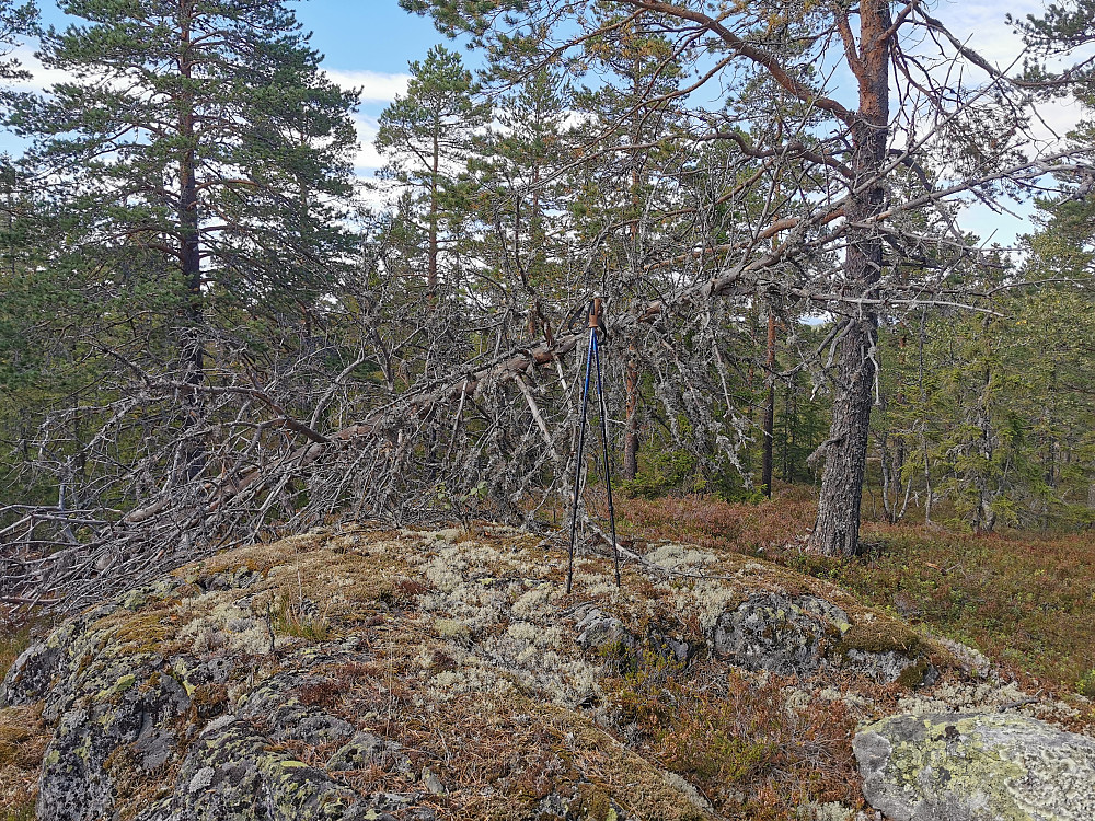 Bjørndalsåsen