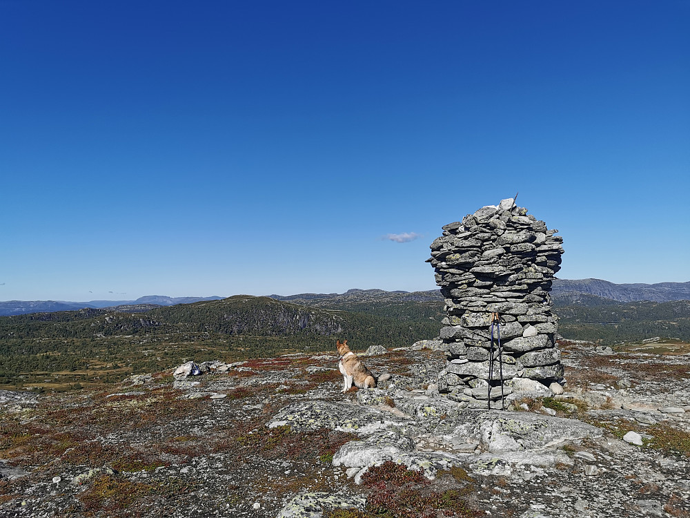 Toskardfjellet