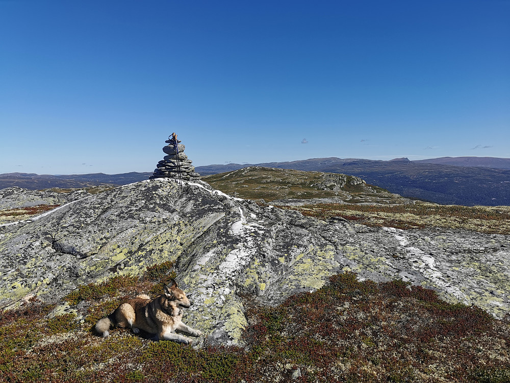 Toskardfjellet SørVest