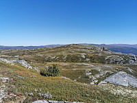 ovega_20220929_633533bd951ab.jpeg