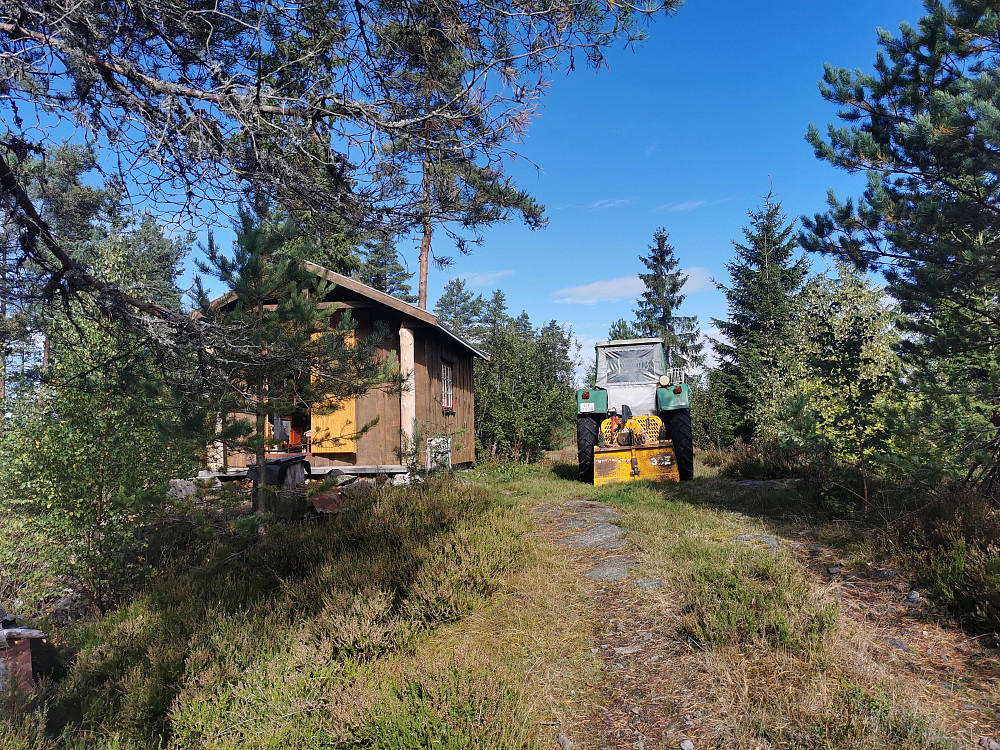 Furuåsen