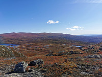 ovega_20221003_633a7a8fbbec2.jpeg