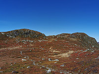ovega_20221003_633a7a9299c39.jpeg