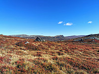 ovega_20221003_633a7a94aad43.jpeg