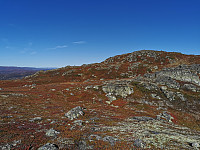 ovega_20221003_633a7a96b3203.jpeg