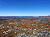 ovega_20221003_633a7a99c5474.jpeg
