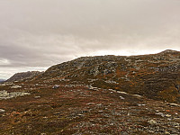 ovega_20221016_634c1ce7a40d8.jpeg
