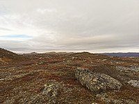 ovega_20221016_634c1ce8ad445.jpeg