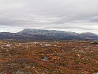 ovega_20221016_634c1ce9c9959.jpeg