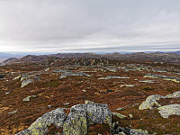 ovega_20221016_634c1ceee56d0.jpeg