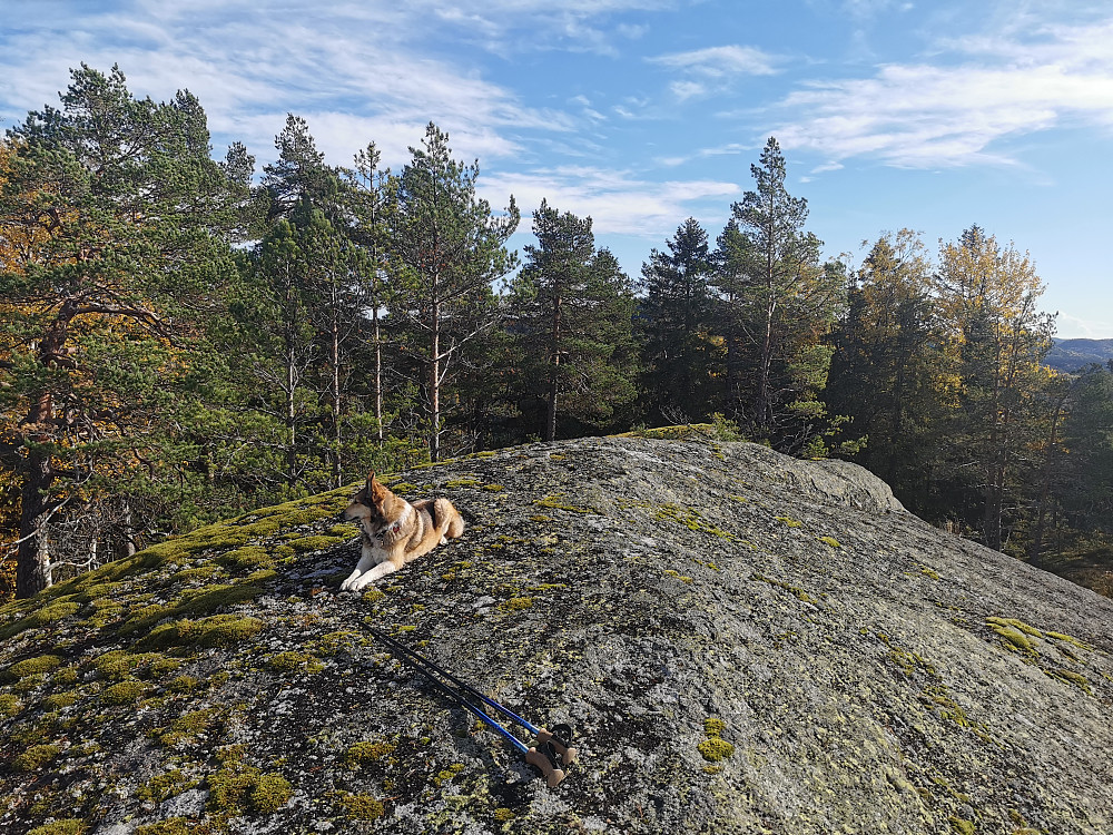 Valldalsås