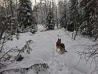 ovega_20221218_639f377dc904a.jpg