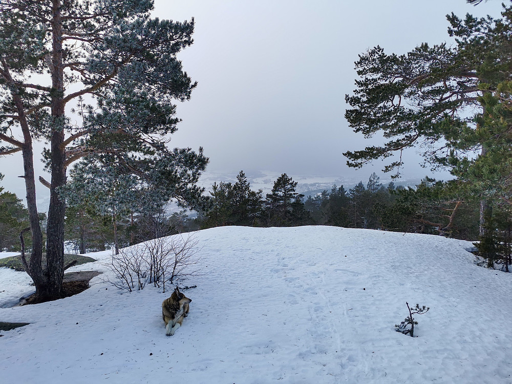 Tåka tok utsikten