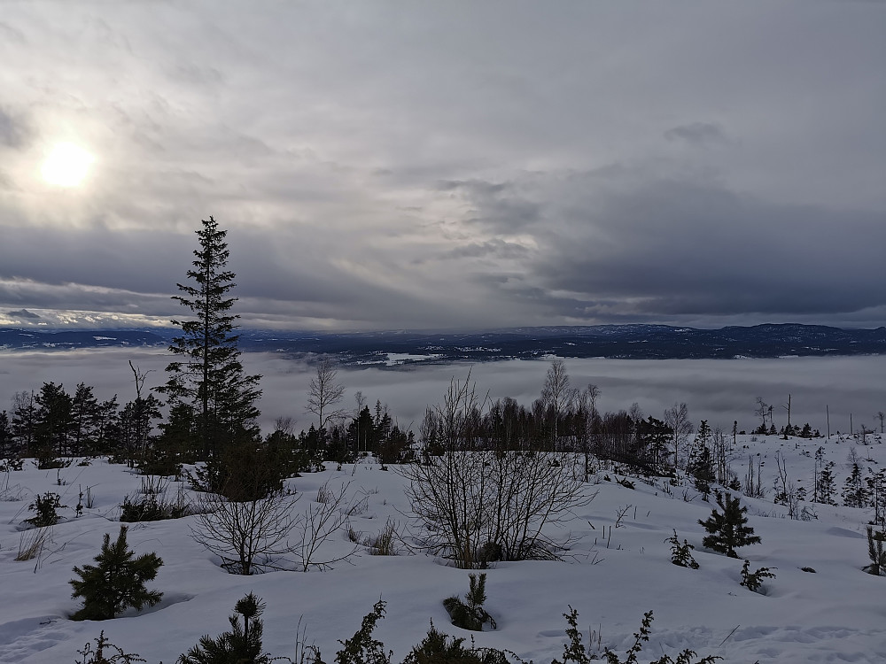 Utsikt fra Krukekollen (Hokksund under tåka)