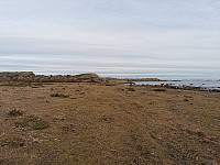 ovega_20230212_63e904d021d97.jpeg