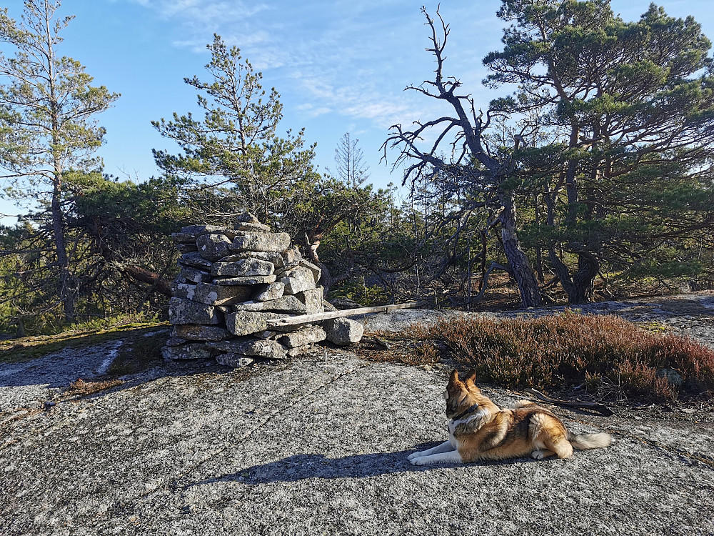 Holtefjell