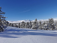 ovega_20230224_63f85a4906319.jpeg