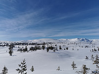 ovega_20230224_63f85a4c411fb.jpeg