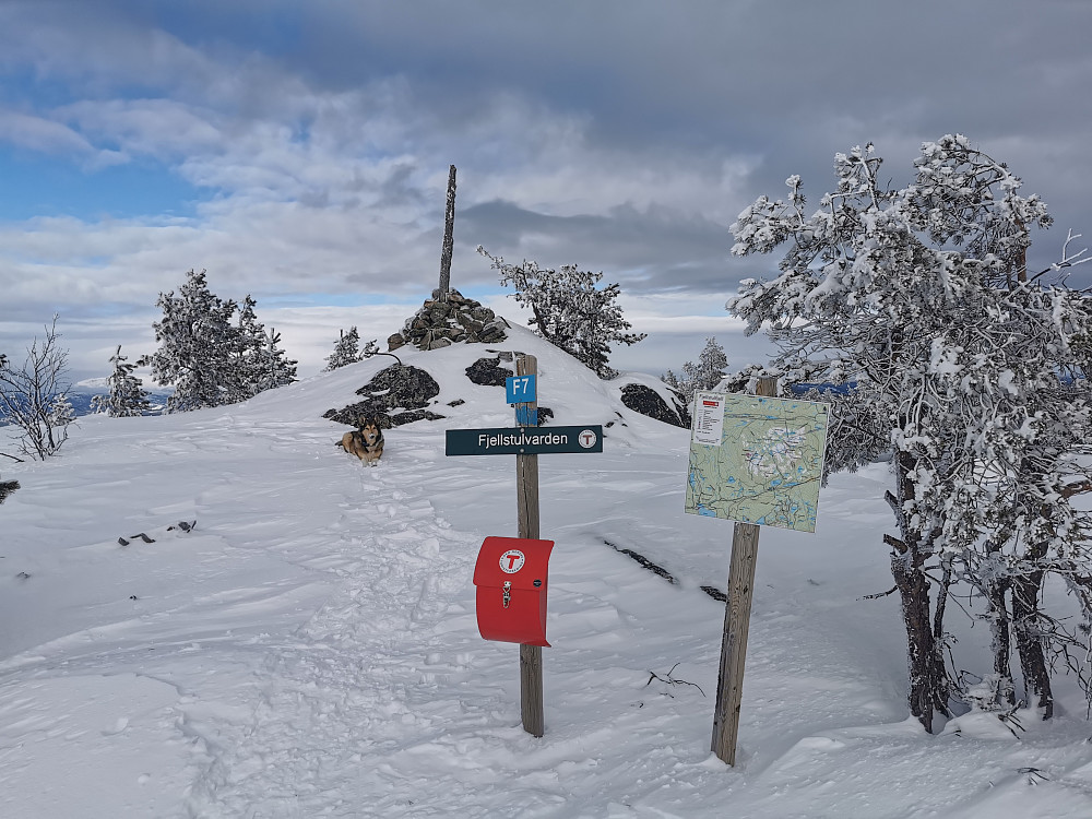 Fjellstulvarden