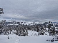 ovega_20230224_63f8f051b58ea.jpeg