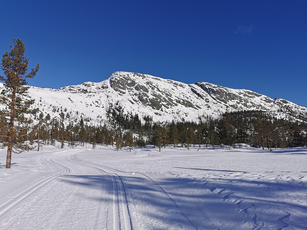 Himingen