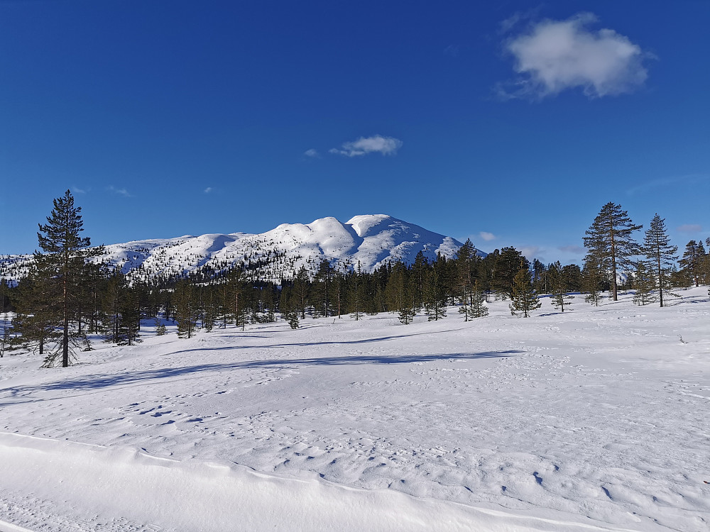 Slettefjell