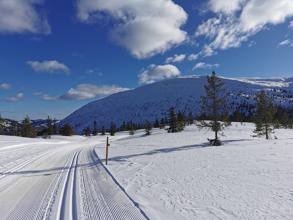 Økteren