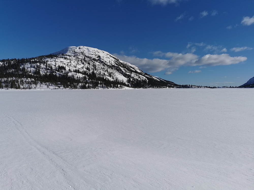 Rognlifjellet