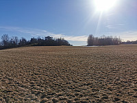 ovega_20230302_640044d760c72.jpeg