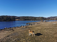 ovega_20230302_640044ec493b4.jpeg