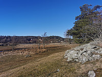 ovega_20230302_640044f5892e3.jpeg