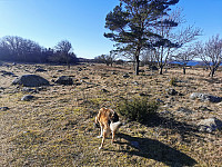 ovega_20230303_6401b646eb6e1.jpeg