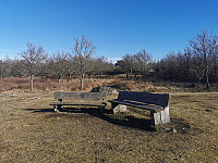 ovega_20230303_6401b64905001.jpeg