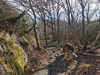 ovega_20230303_6401b657a7941.jpeg